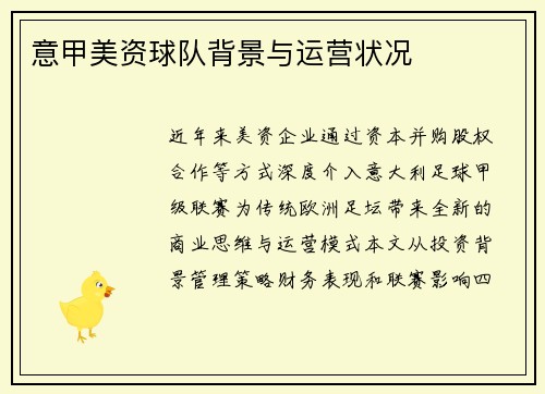 意甲美资球队背景与运营状况